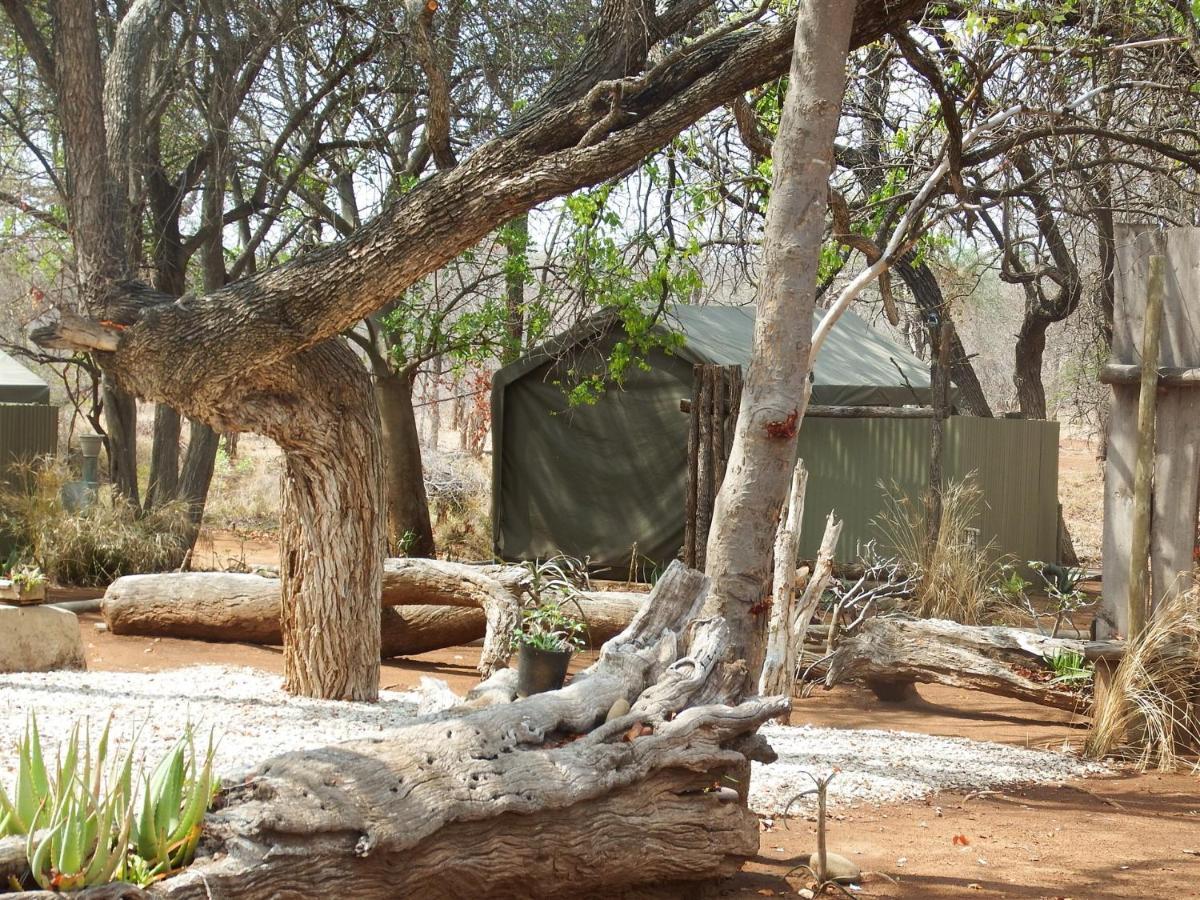 Готель Ndzuti Bush Camp Заповідник Балуле Екстер'єр фото