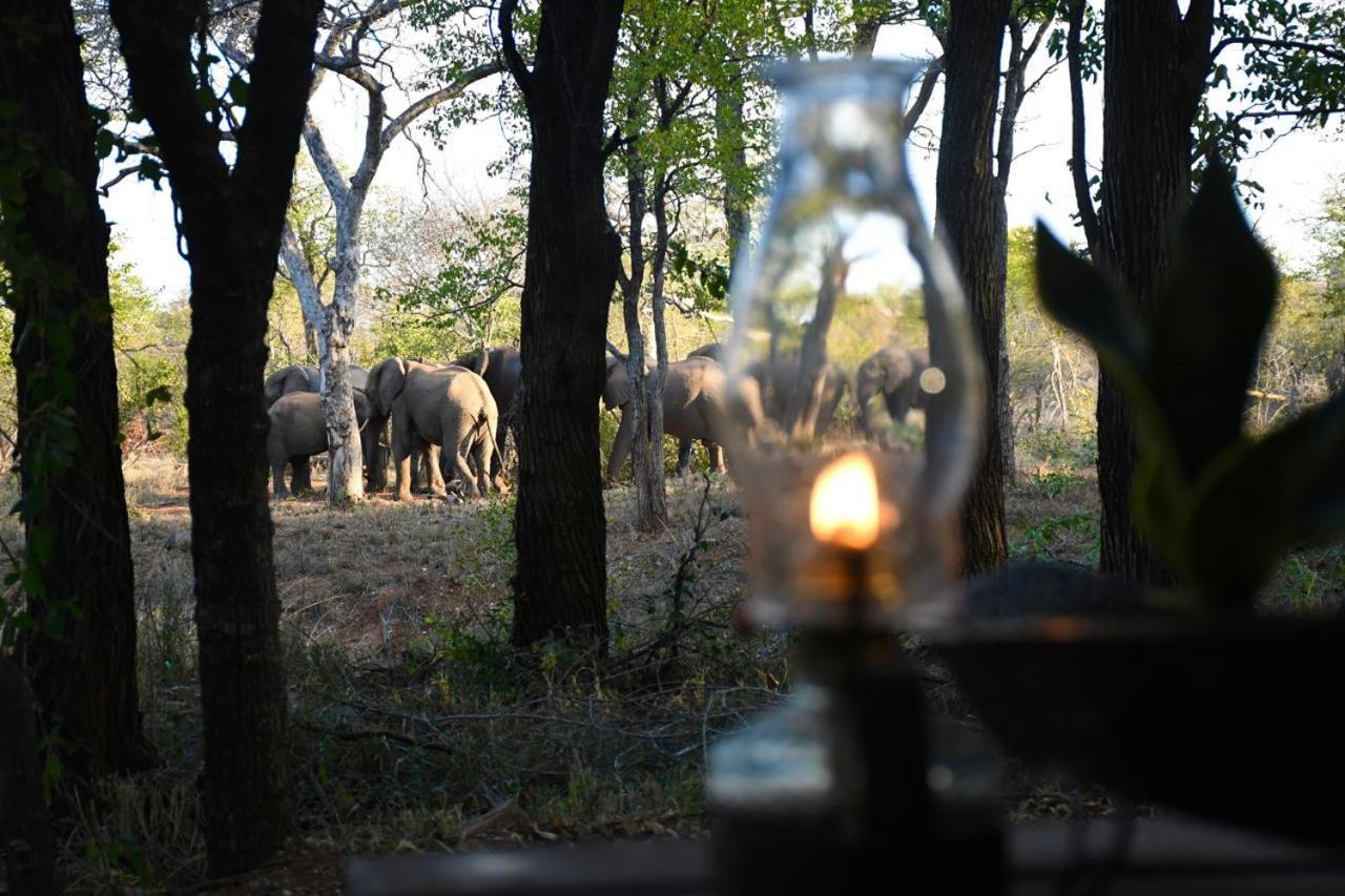 Готель Ndzuti Bush Camp Заповідник Балуле Екстер'єр фото