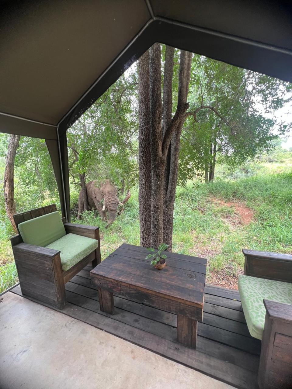 Готель Ndzuti Bush Camp Заповідник Балуле Екстер'єр фото
